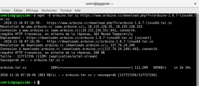 Téléchargement de l'application **Arduino IDE** dans une fenêtre de Terminal