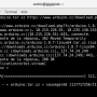 terminal_install_arduino.png