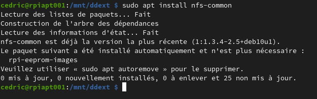 apt install nfs-common