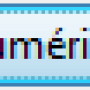 bouton_numeriser.png