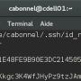 terminal_ssh_cat_private_key.png