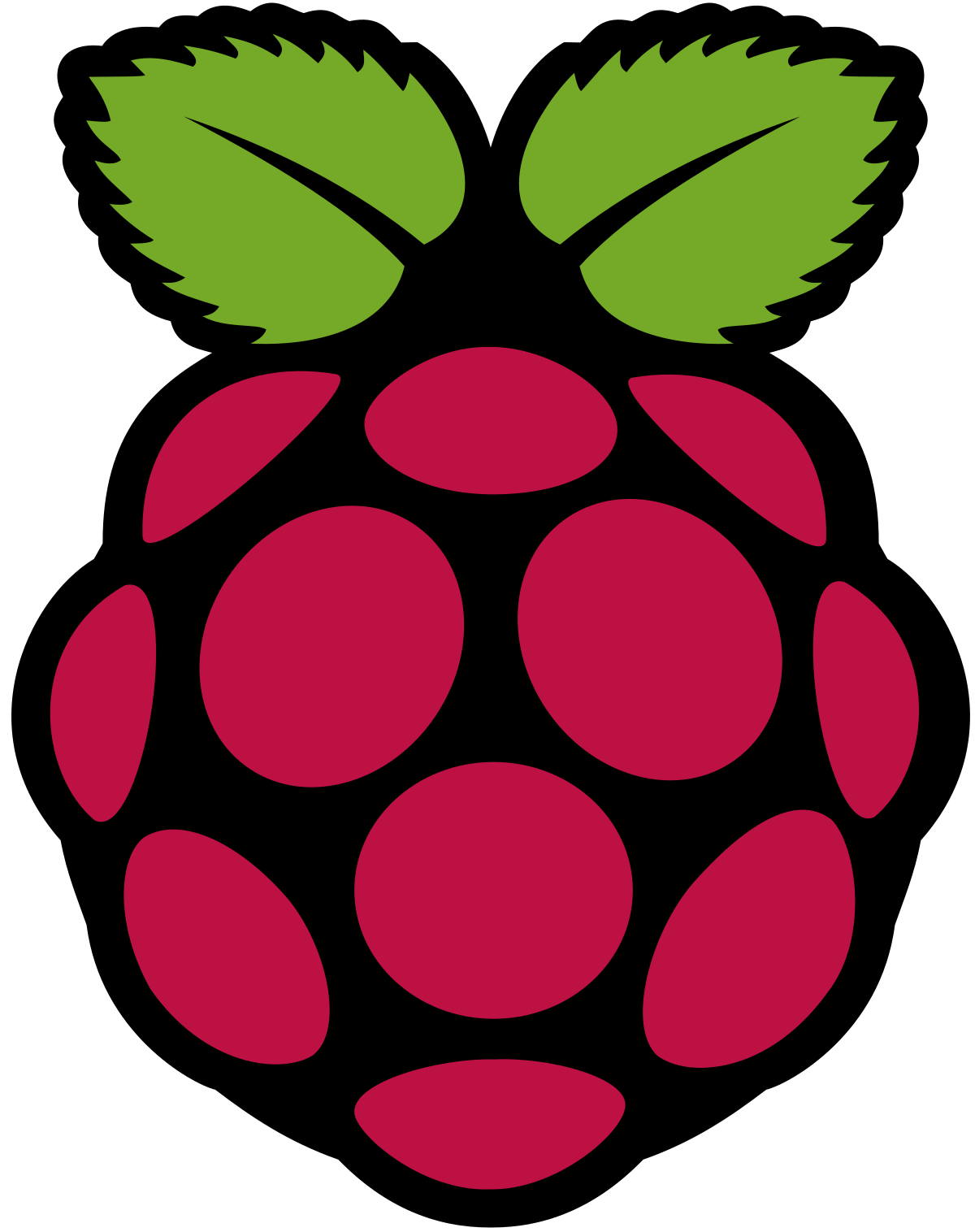 Logo Raspberry