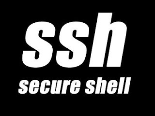 ssh client